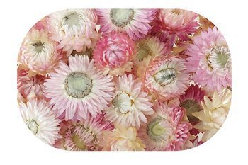 KOCANKA SUSZONA MIX JASNORÓŻOWY (suchołuska, nieśmiertelnik, Helichrysum) kwiaty suszone suszki dekoracyjne