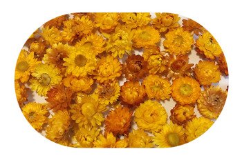 KOCANKA SUSZONA MIX ŻÓŁTY (suchołuska, nieśmiertelnik, Helichrysum) kwiaty suszone suszki dekoracyjne