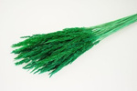 TRAWA LEŚNA KOLOR ZIELONY trawa suszona barwiona suszki do dekoracji