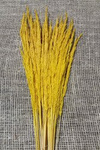 TRAWA LEŚNA KOLOR ŻÓŁTY trawa suszona barwiona do stroików