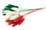 DMUSZEK JAJOWATY MIX ZIELONO-BIAŁO-CZERWONY ~35 szt. zestaw 3 kolorów (Lagurus ovatus) trawa suszona "ogon królika" suszki wielobarwne