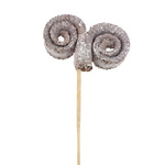 SUSZ EGZOTYCZNY "BARANIE ROGI" KOLOR BIAŁO-BRĄZOWY suszki na patyku ozdoby na stroiki