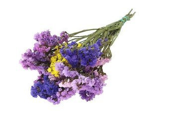 ZATRWIAN WRĘBNY MIX KOLORÓW (Limonium sinuatum) suszki ozdobne kwiaty suszone dodatek do stroików i wianków